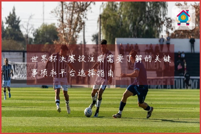 世界杯决赛投注前需要了解的关键事项和平台选择指南